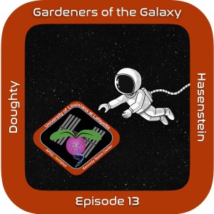 Plant biologist Karl Hasenstein on growing radishes in space: GotG13