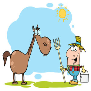 Seeing the big picture- Farmer & his horse