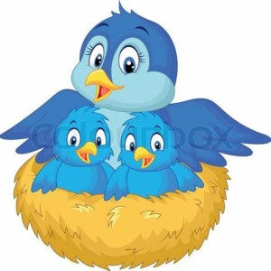 Episode 7: Bird & the nest