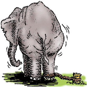 Episode 9- Elephant & the rope