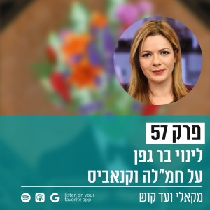 פרק 57 - לינוי בר גפן על חמ"לה וקנאביס