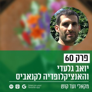 פרק 60 - יואב גלעדי והאנציקלופדיה לקנאביס