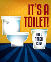 A Toilet is Not a Trash Can