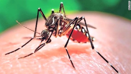 Zika Virus:  Hoax or Mystery