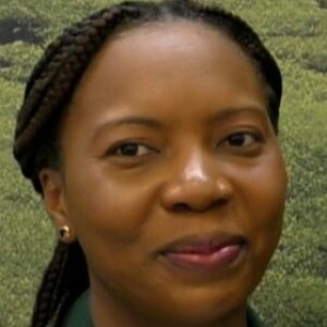 How St. Kitts Caters to the Cruise Market