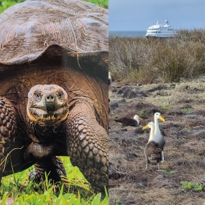Take a Tour of the Galapagos with Lindblad Expeditions