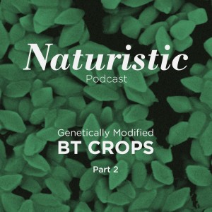 4 - Genetically Modified Bt Crops, Part 2