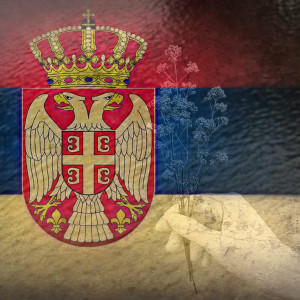 Episode 9 - For the Honor of Belgrade: Part 1