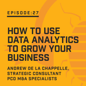 Episode 27: How to Use Data Analytics to Grow Your Business