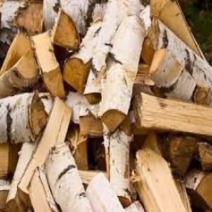 Bundle Of Birch Logs For Sale