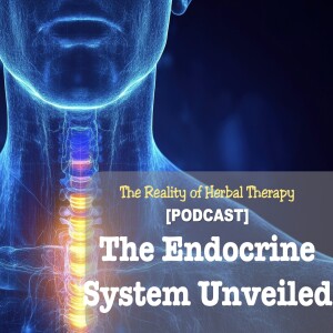 The Endocrine System Unveiled: Glands, Hormones, and Health