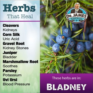 Bladney and why use it.