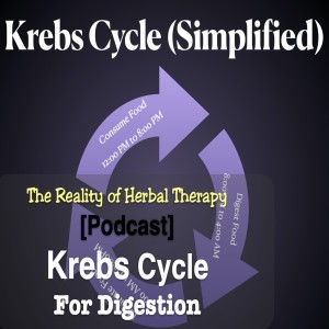 The Krebs Cycle for Digestion