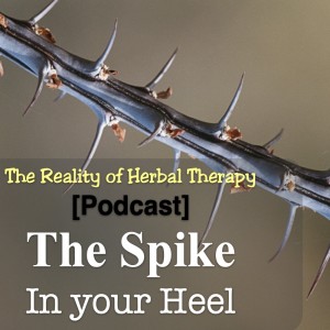 The Spike in Your Heel