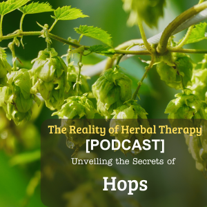 Unveiling the Secrets of Hops: More Than Just a Beer Ingredient