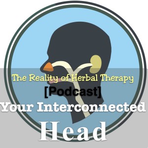 Your Interconnected Head