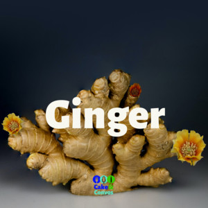 Ginger