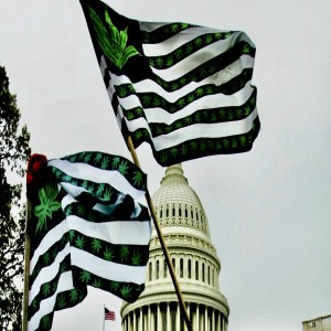 CannaPolicy: Cannabis Justice is Racial Justice