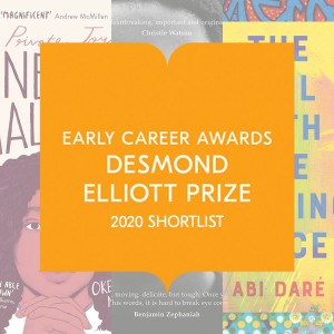 Announcing the Desmond Elliott Prize Shortlist