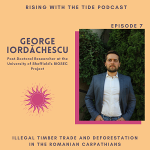 Illegal Timber Trade and Deforestation in the Romanian Carpathian with George Iordăchescu - Episode 7