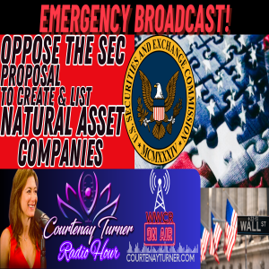 EMERGENCY BROADCAST: Gov’t Seeks To Allow Land Grabs via Stock Exchange | Courtenay Turner Radio Hour