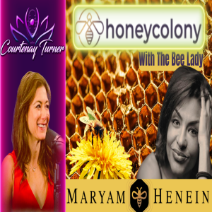 Ep.389: HoneyColony w/ The ”Bee Lady” Maryam Henein | The Courtenay Turner Podcast