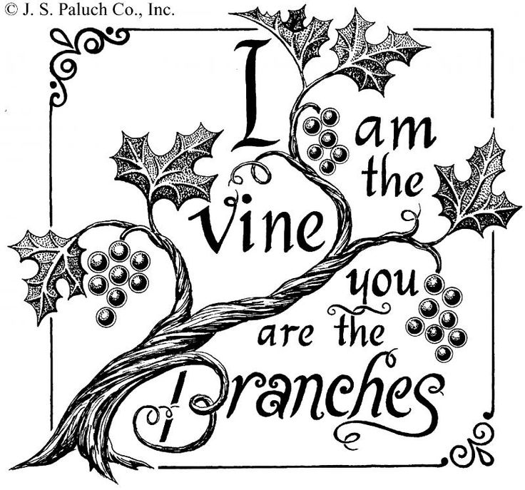 The True Vine (John 15:1-17)