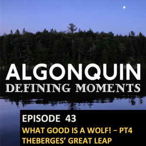 Episode  43: What Good is a Wolf  PT4  - More of John and Mary Theberge’s Great Leap Research