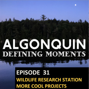 Episode 31: More Cool Algonquin Wildlife Station Research