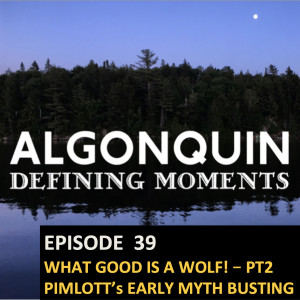 Episode 39: What Good is a Wolf? PT2 More of Pimlott’s Myth Busting