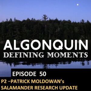 Episode 50: PT2 - Salamander Research Update with Patrick Moldowan