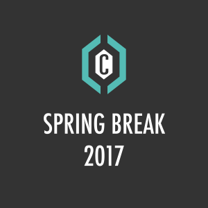 Spring Break 2017 • Workshop: Professionalism in the New Normal: The Challenges and Opportunities of Work in the New Economy • Dan Wooldridge