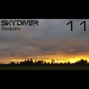 Skydiver - Prototype Audio 011 - Sequim