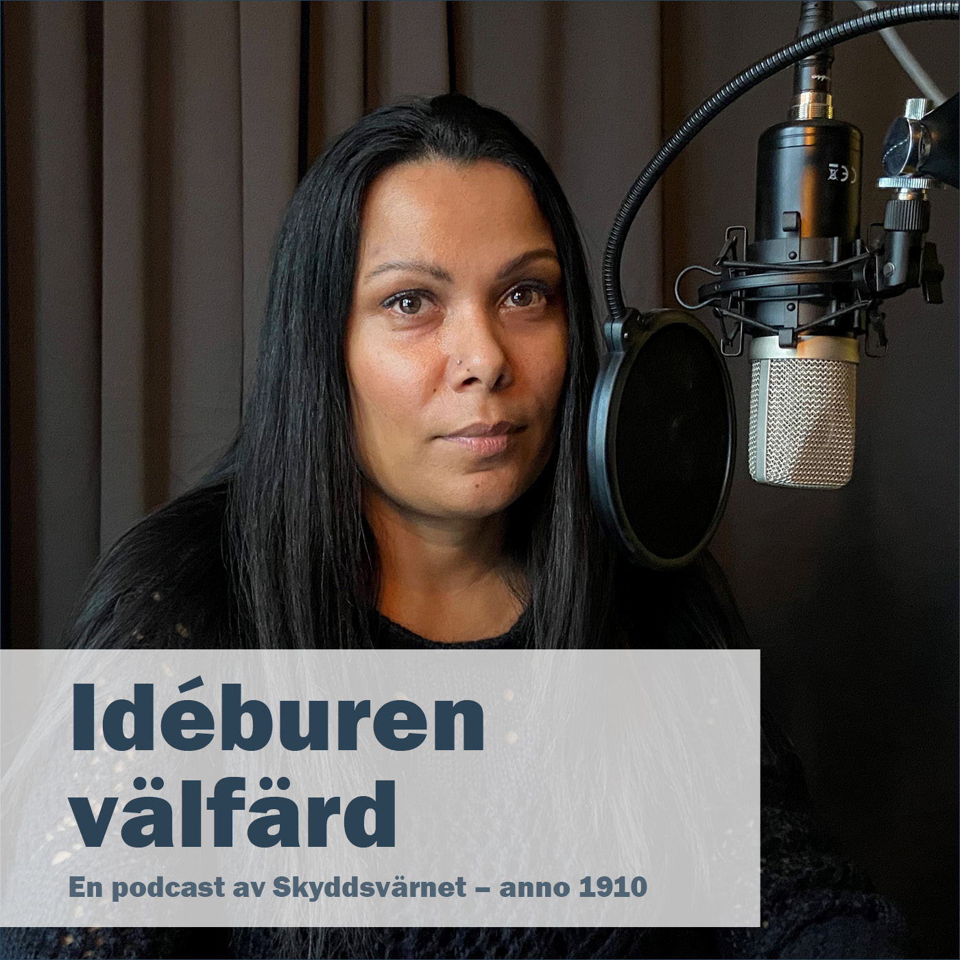 Idéburen välfärd