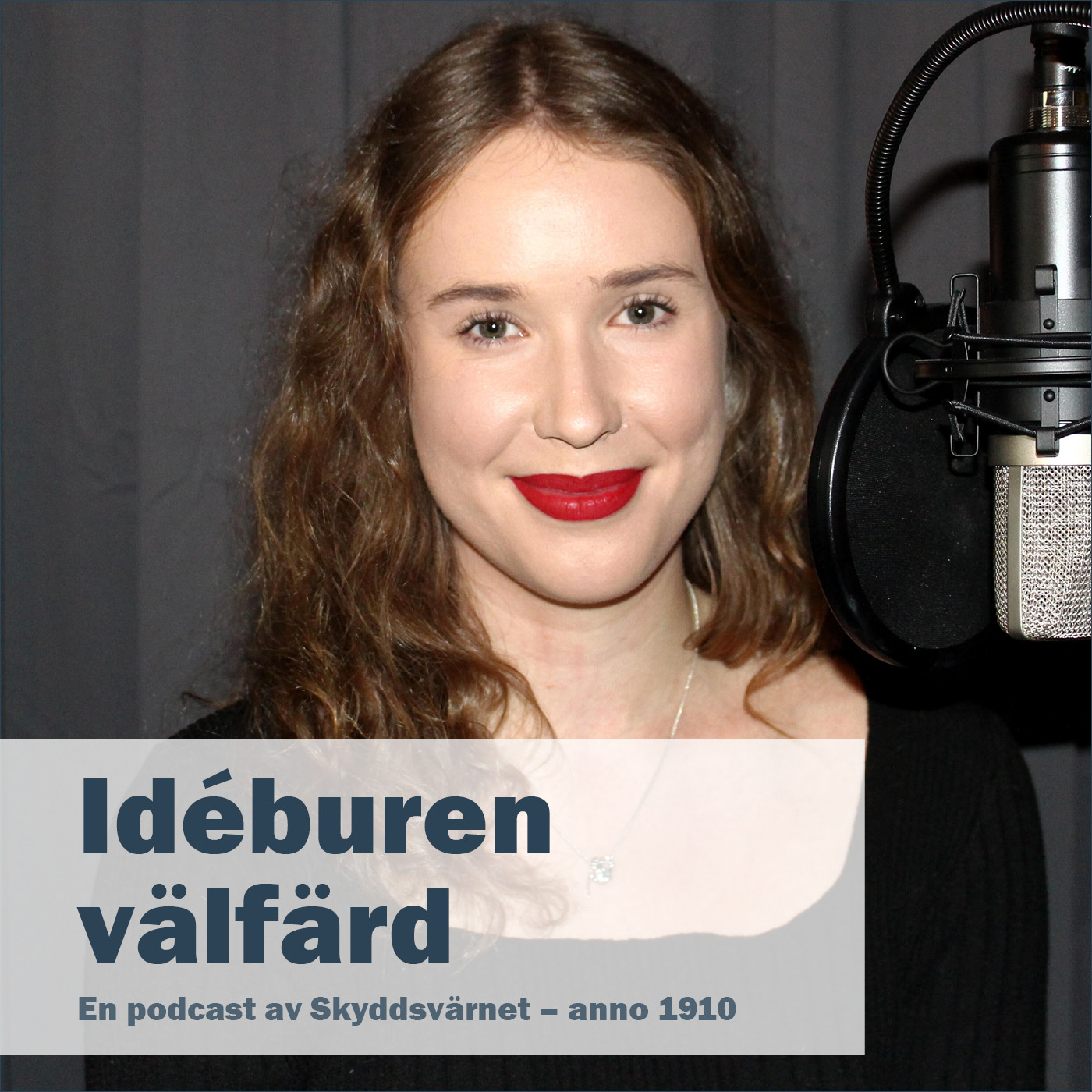 Idéburen välfärd