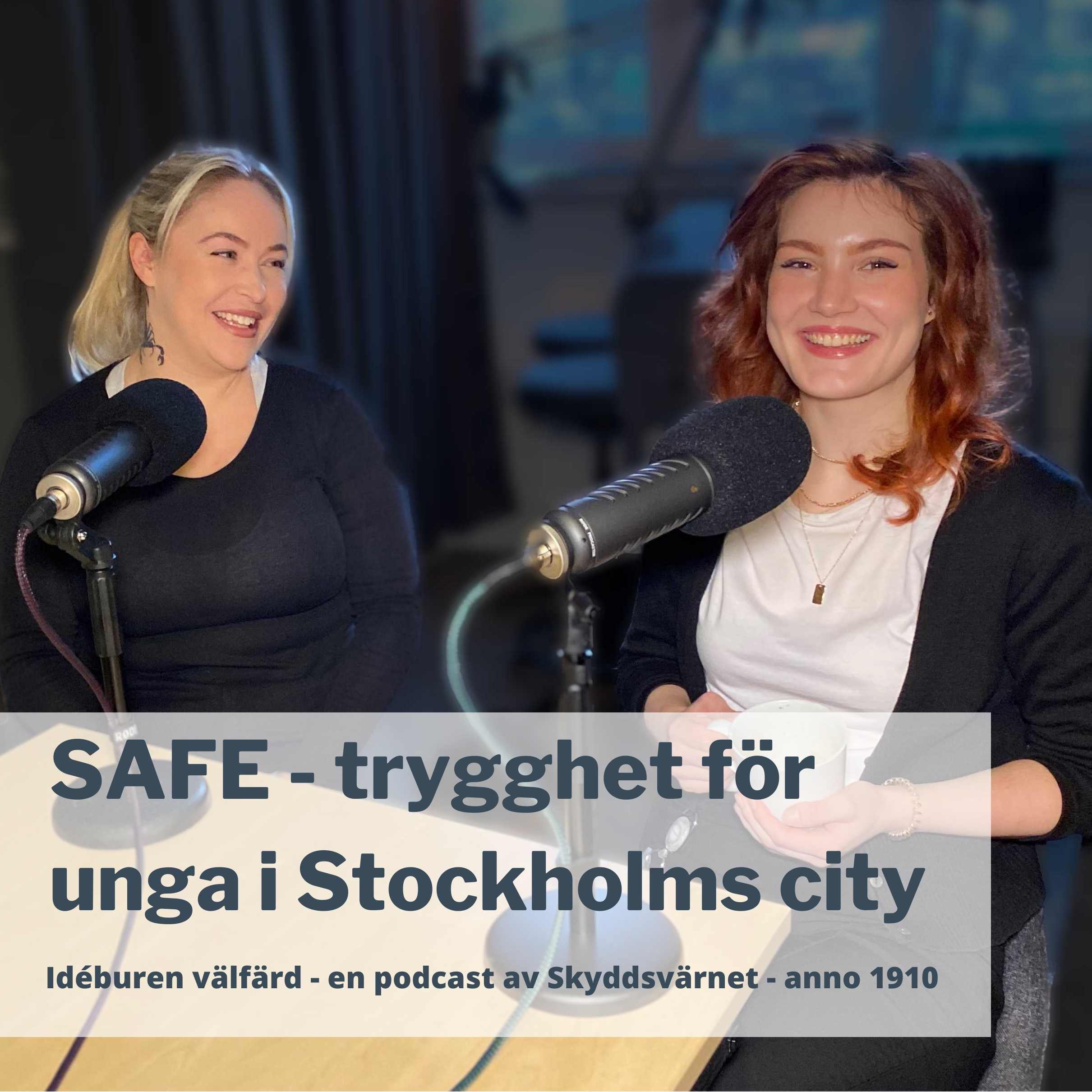 Idéburen välfärd