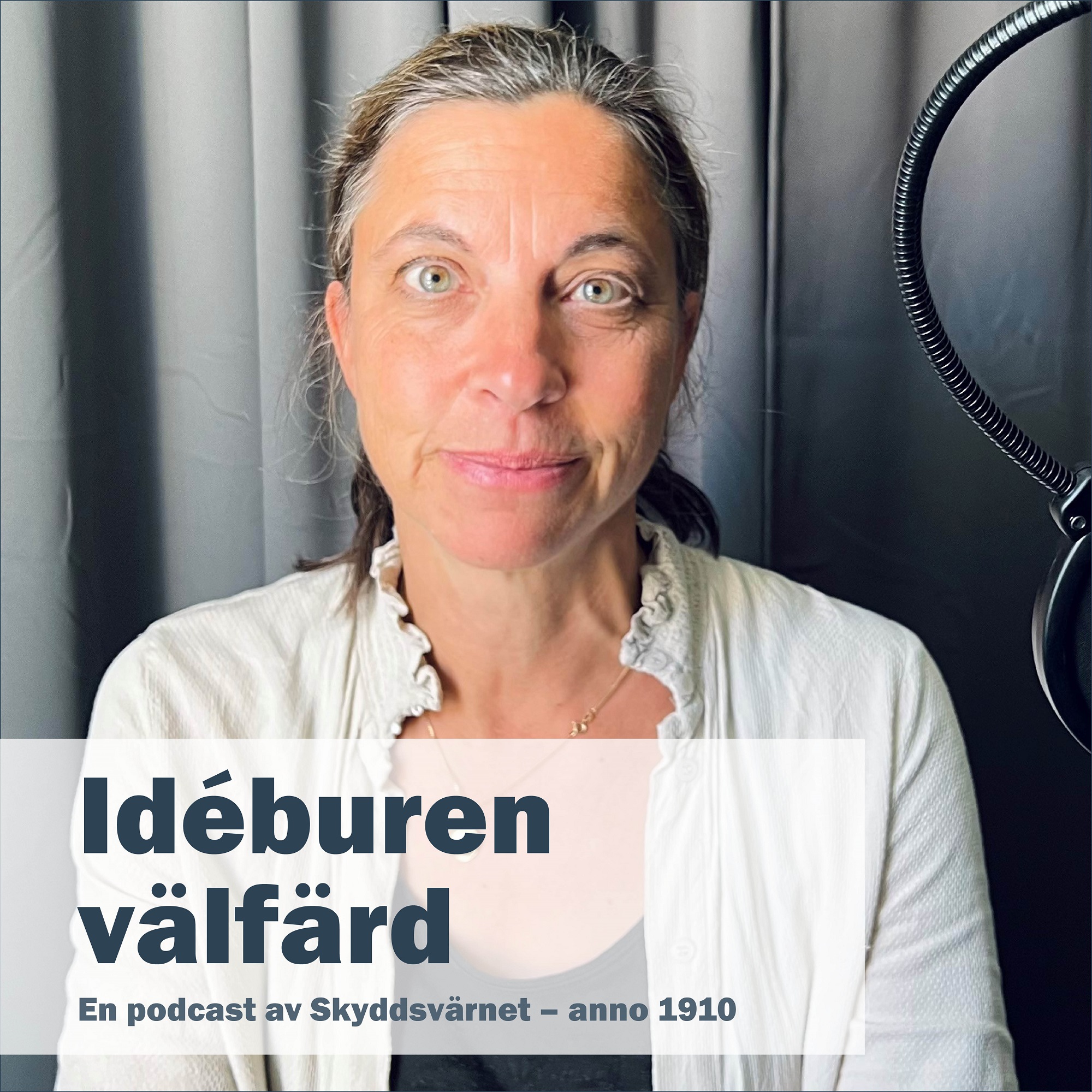Idéburen välfärd