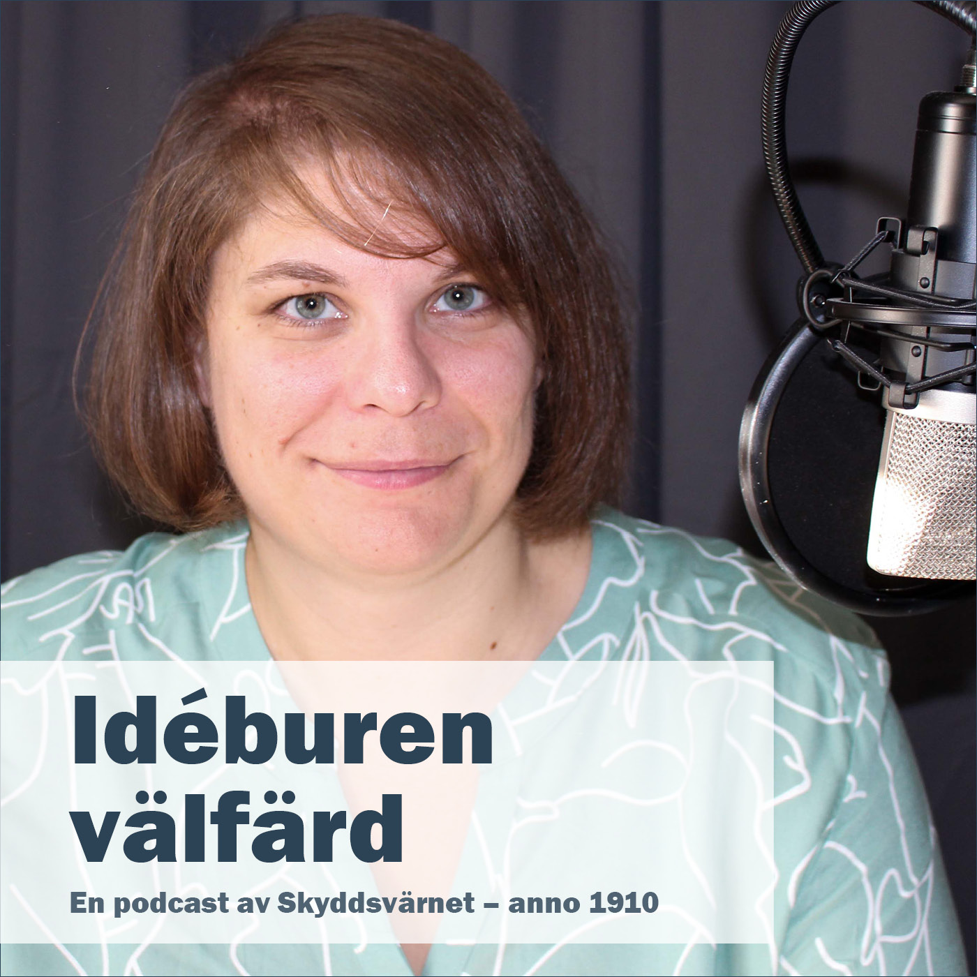 Idéburen välfärd