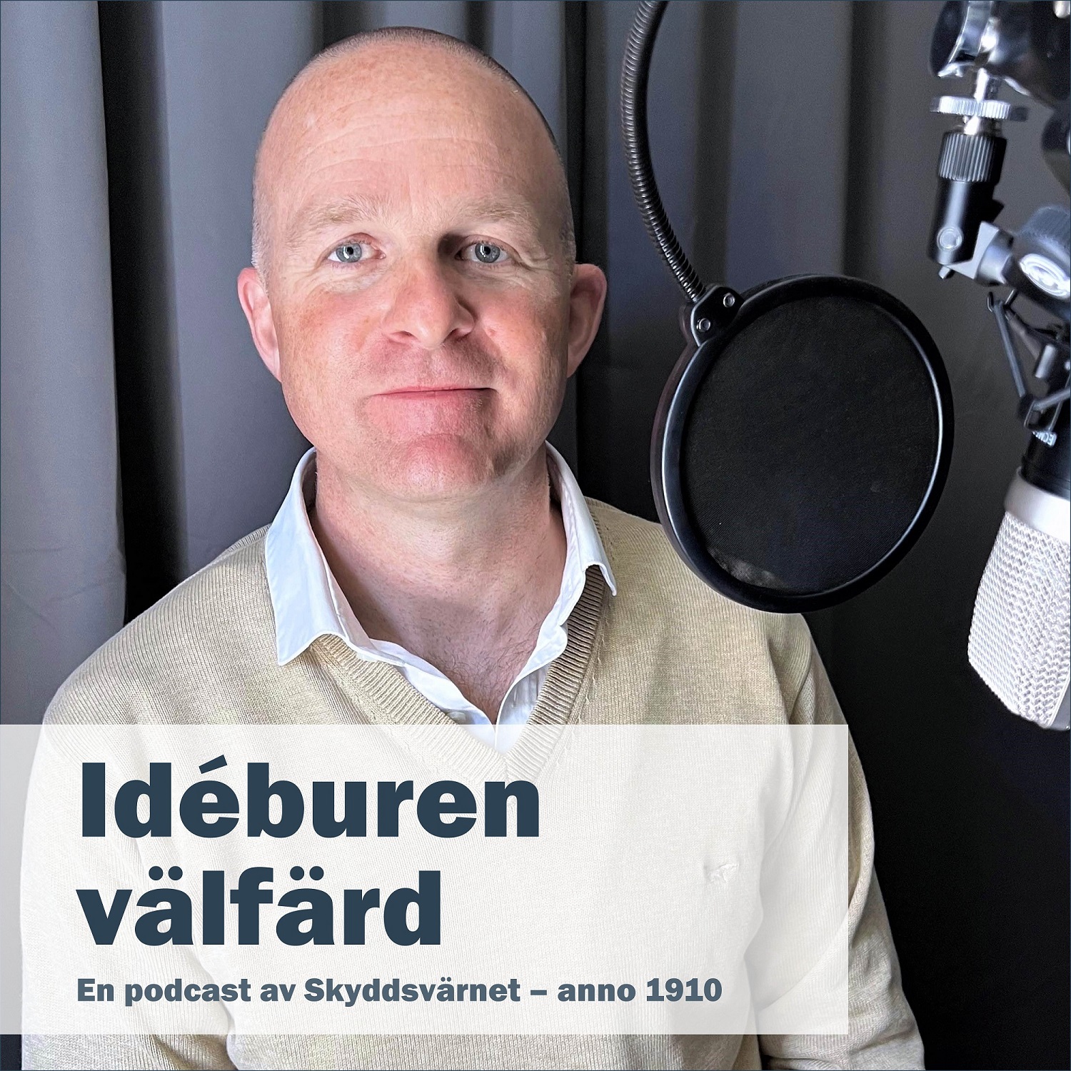 Idéburen välfärd