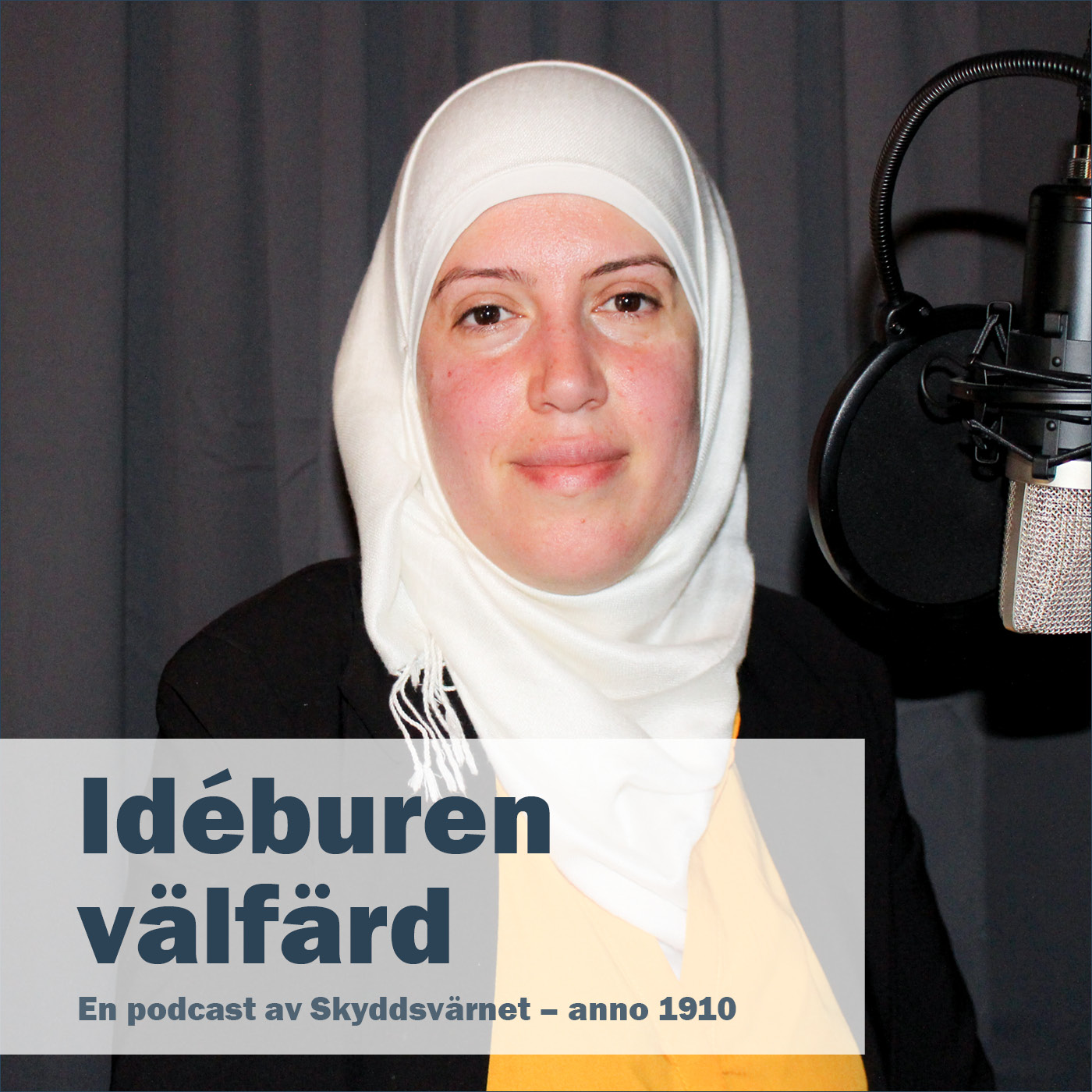 Idéburen välfärd