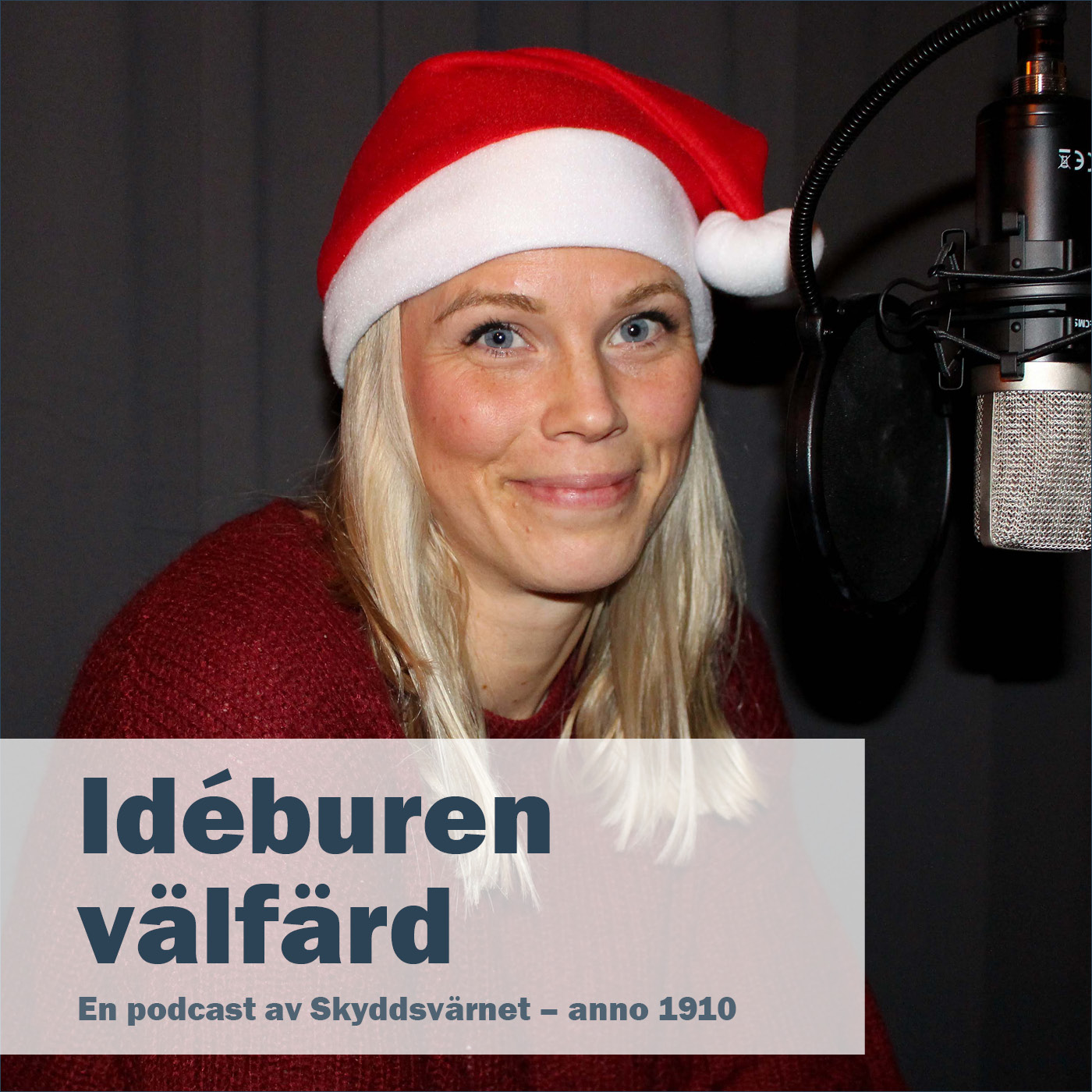 Idéburen välfärd