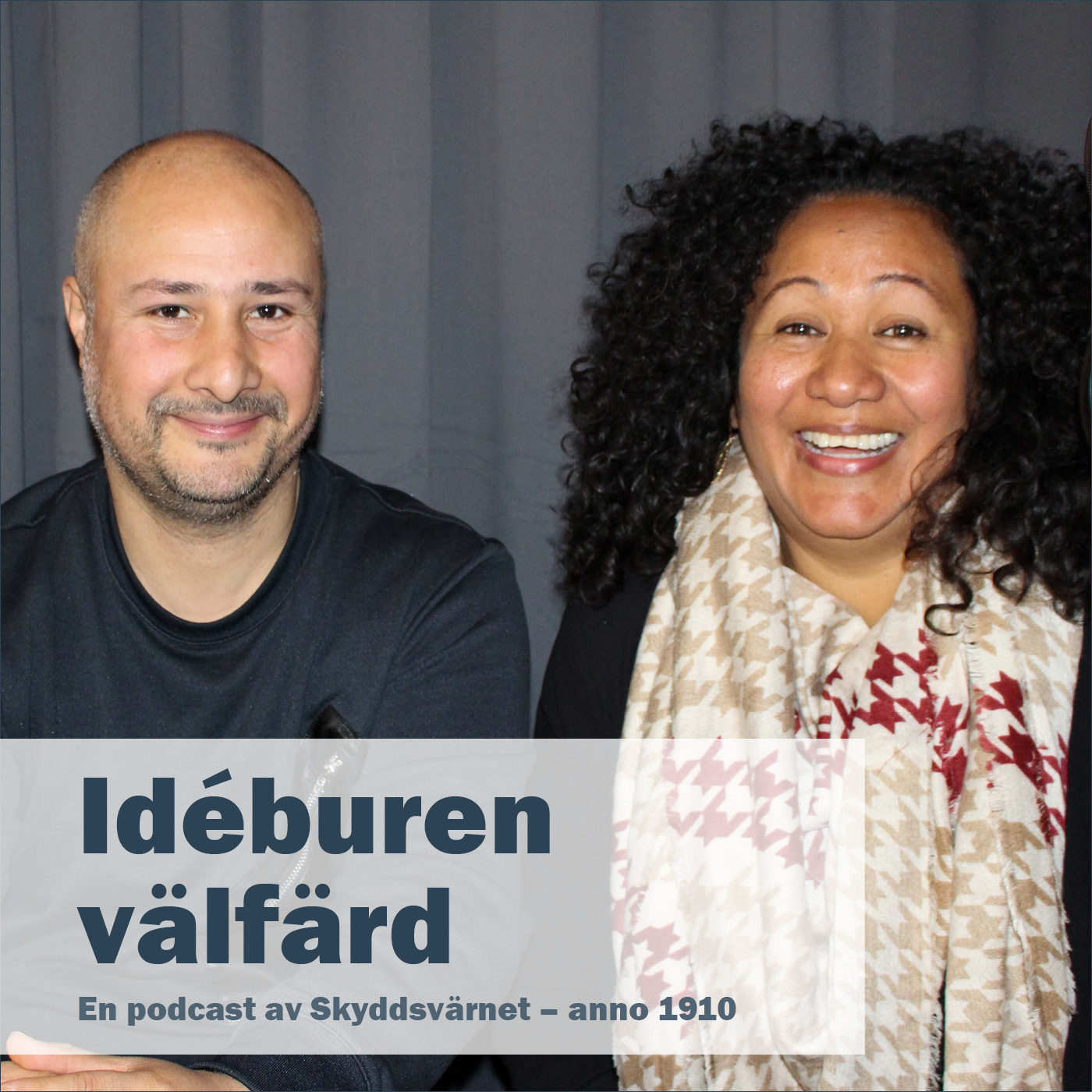 Idéburen välfärd
