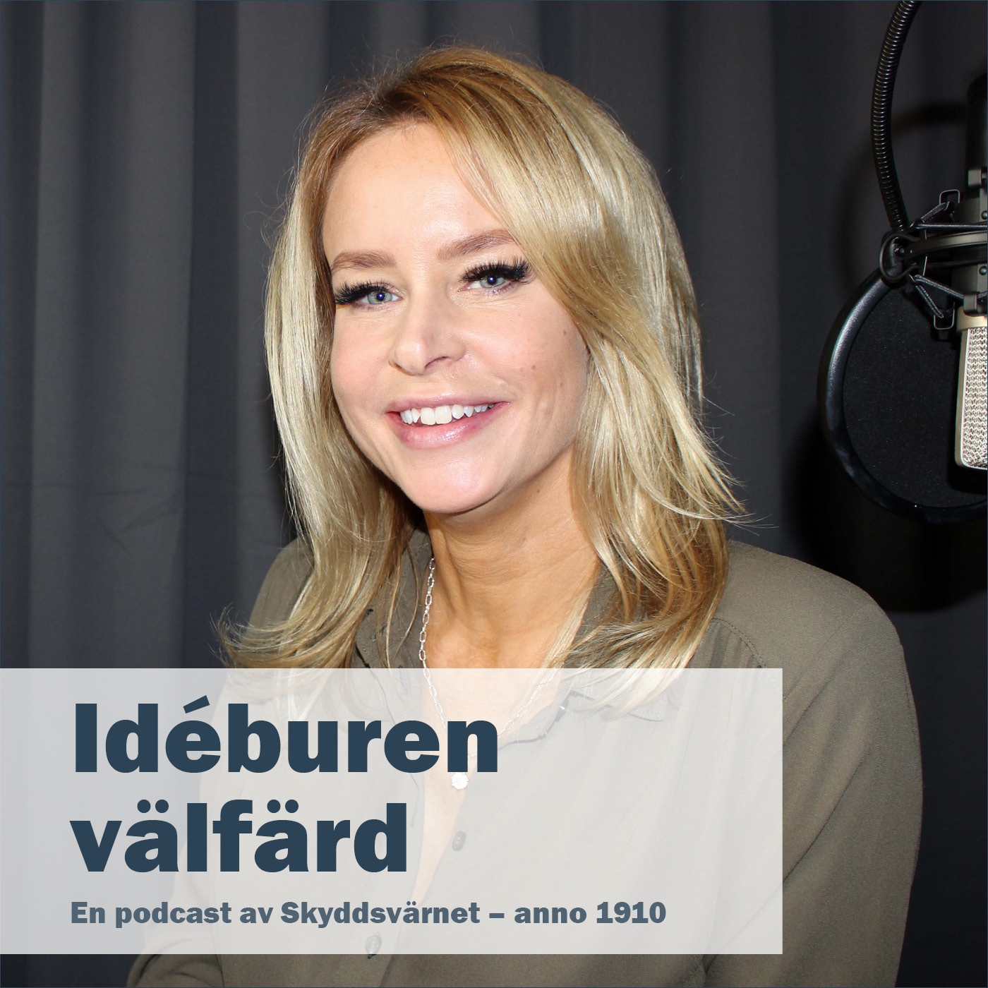 Idéburen välfärd