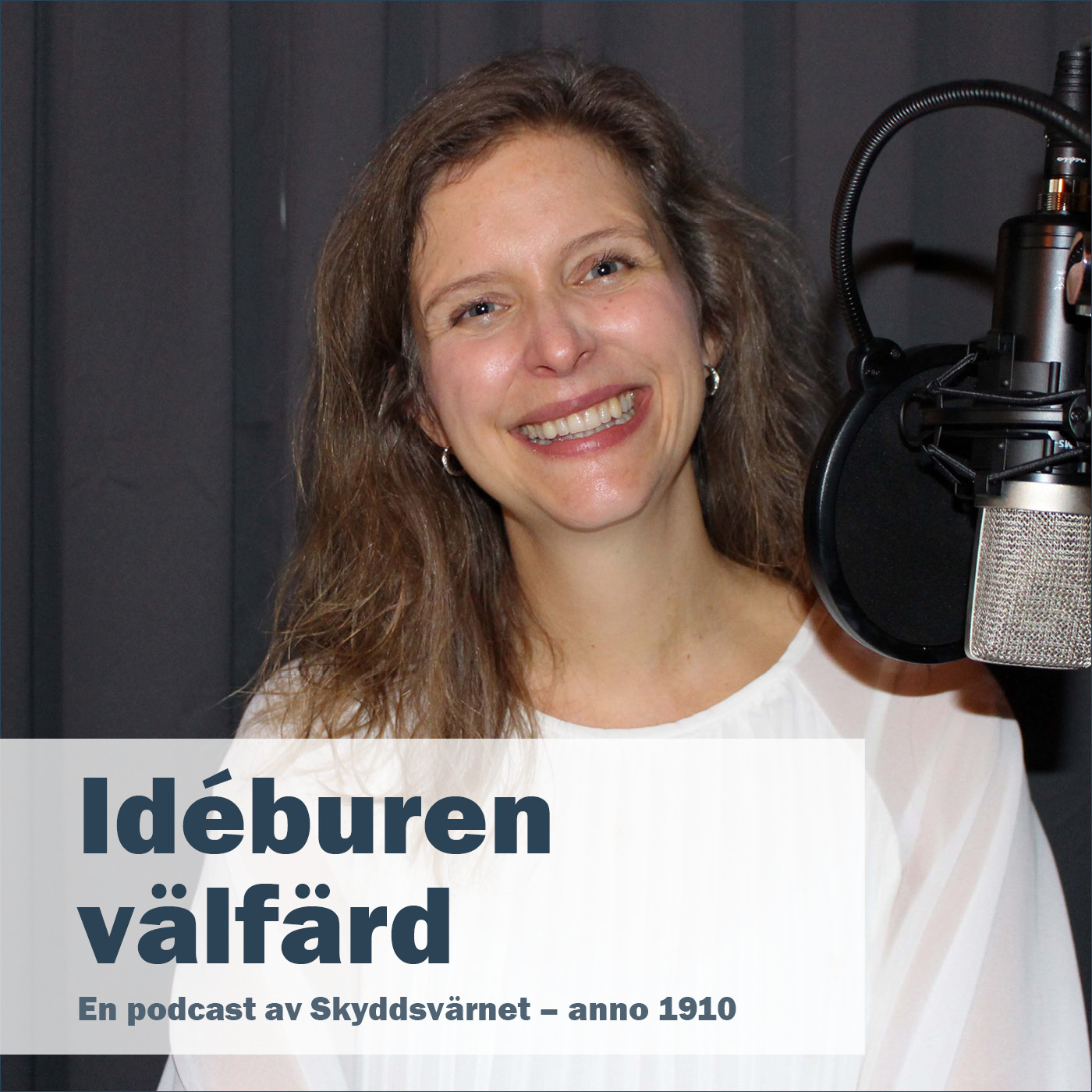 Idéburen välfärd