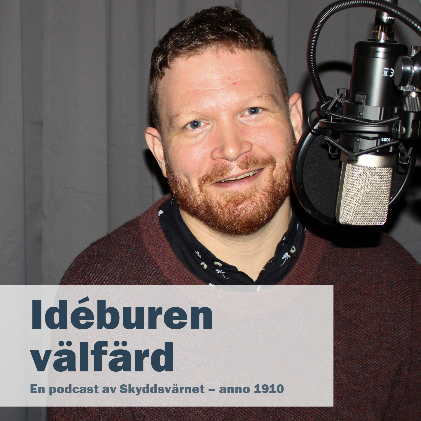Idéburen välfärd
