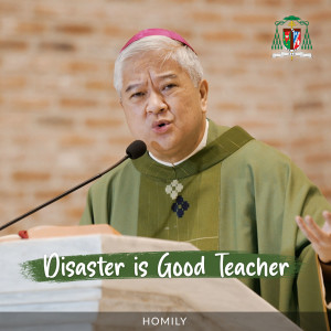 Disaster is a Good Teacher