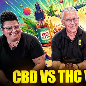 🏉🌿  Rugby to Recovery: VetMed Pro’s Journey CBD vs THC vs MCT Explained