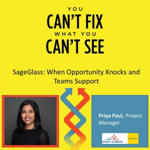 SageGlass - When Opportunity Knocks and Teams Support