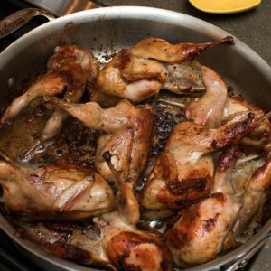 Yishai Fleisher Show: No More Quail - We Want Manna!!