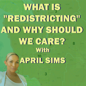 What Is ”Redistricting” And Why Should We Care? With April Sims
